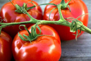 Імпортні помідори в Україні коштують в діапазоні 78-90 грн/кг
