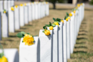 Мінветеранів повідомило, коли почнуться поховання на Національному військовому кладовищі