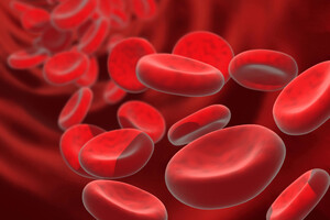 Вчені заявили, що нова імунотерапія може зробити кров більш «молодою»