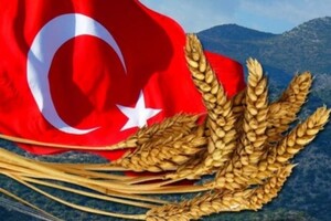 Тверда пшениця турецького виробництва стає максимально привабливою для Європи