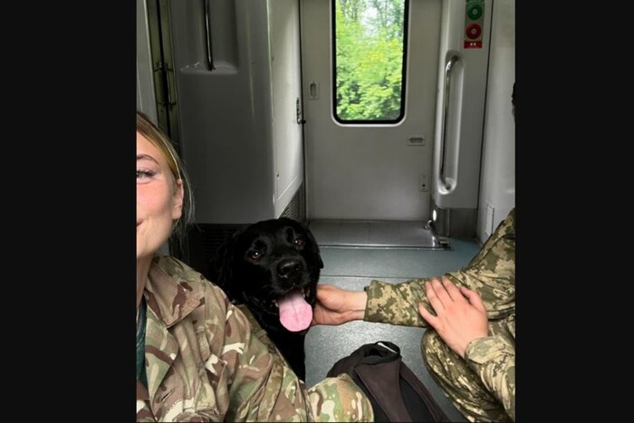 «Або їдь у тамбурі, або висаджу з потяга»: військова поділилася історією поїздки з собакою