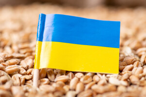 Как Россия ворует и сбывает украинское зерно