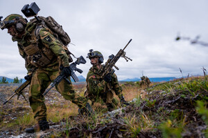 Норвегия сделала заявление о вводе войск в Украину