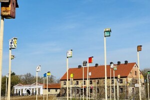На допомогу українцям: Литва створила нове «місто» для незвичайних мешканців