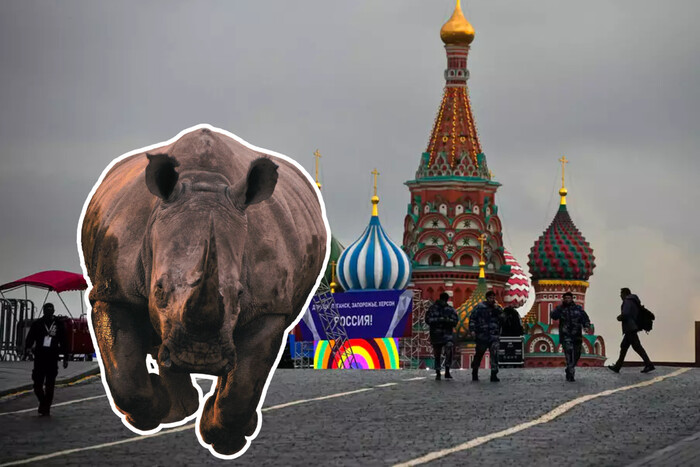 Новая эпоха носорогизации в России 