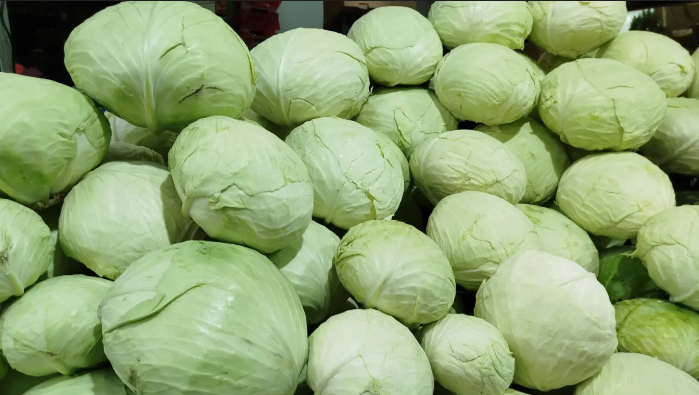 В Україні стрімко дешевшає капуста: яка ціна нині фото 1