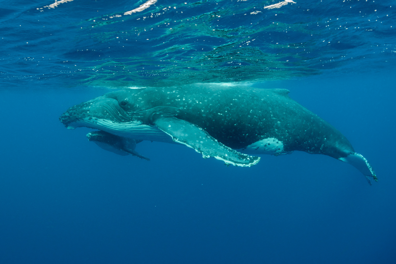 19 февраля: какой сегодня праздник, традиции и запреты фото 2