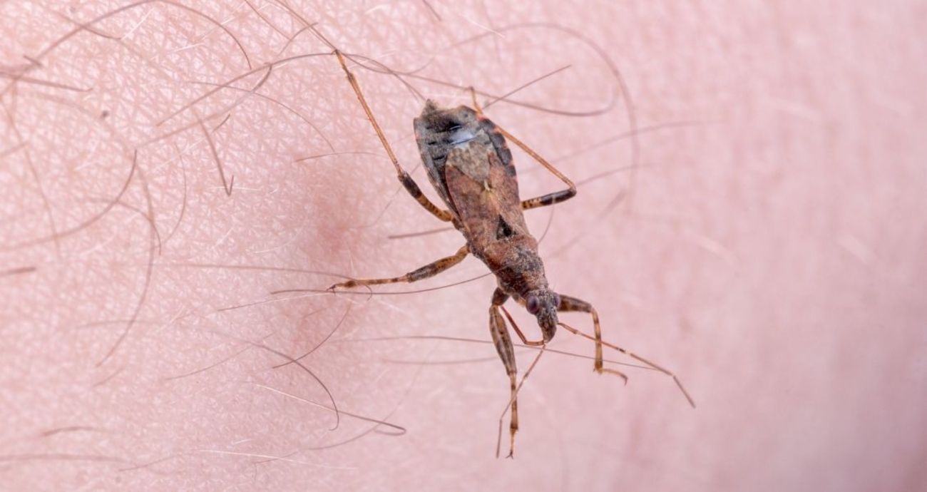 14 апреля: какой сегодня праздник, традиции и запреты фото 2