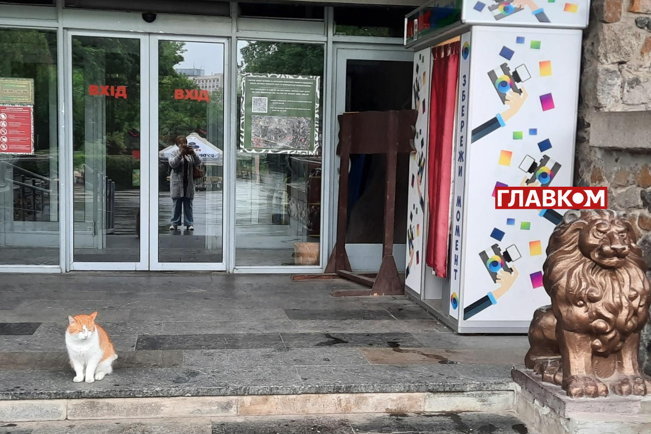 Два «леви». Кіт Рижик – старожил зоопарку