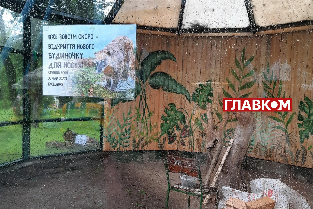 «Квартирне питання». Носухам лишилося зовсім трохи зачекати…