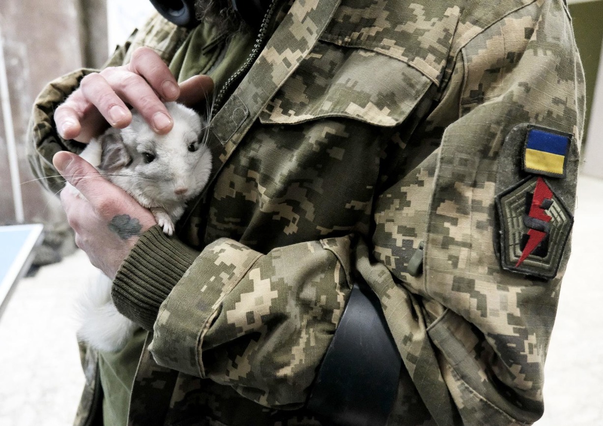Військовий з подарованою зоопарку морською свинкою