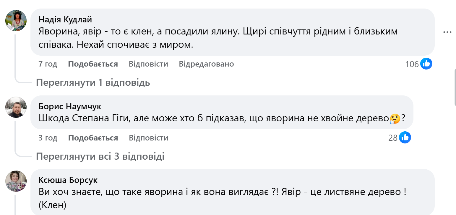 На могилі Степана Гіги посаджено дерево. Соцмережі здивував вибір фото 2