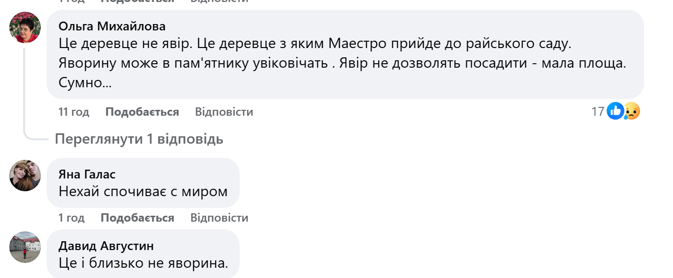 На могилі Степана Гіги посаджено дерево. Соцмережі здивував вибір фото 4
