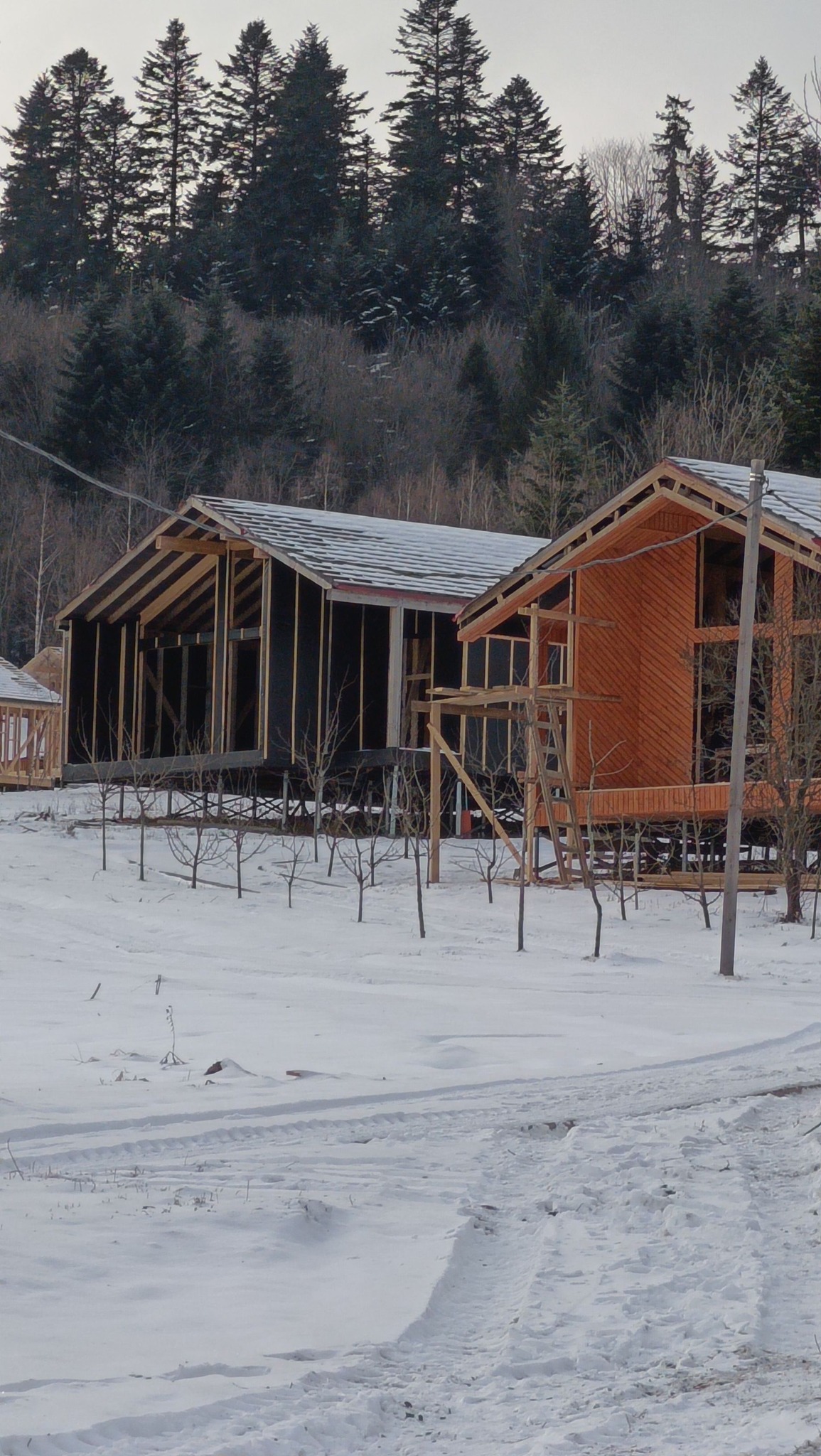 Карпати під загрозою? Архітектори вказали на нову проблему фото 1