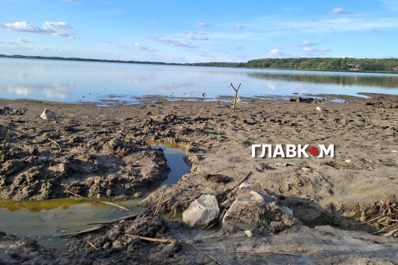 Екологічна катастрофа на Київщині. Влада б'є на сполох через обміління озера Великий Супій фото 4