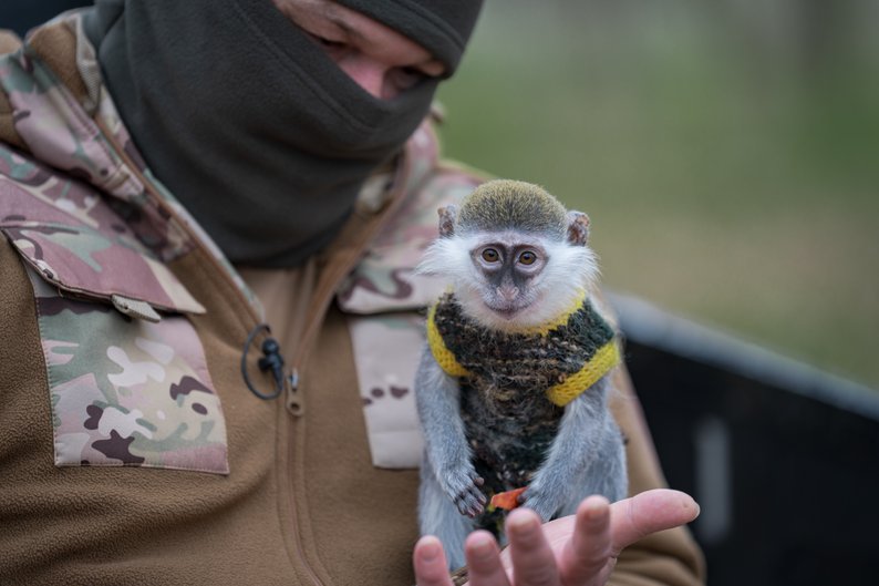 Мартишка Зіна