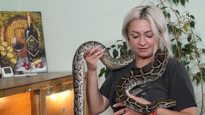 Олена Палійчук з пітоном Луї