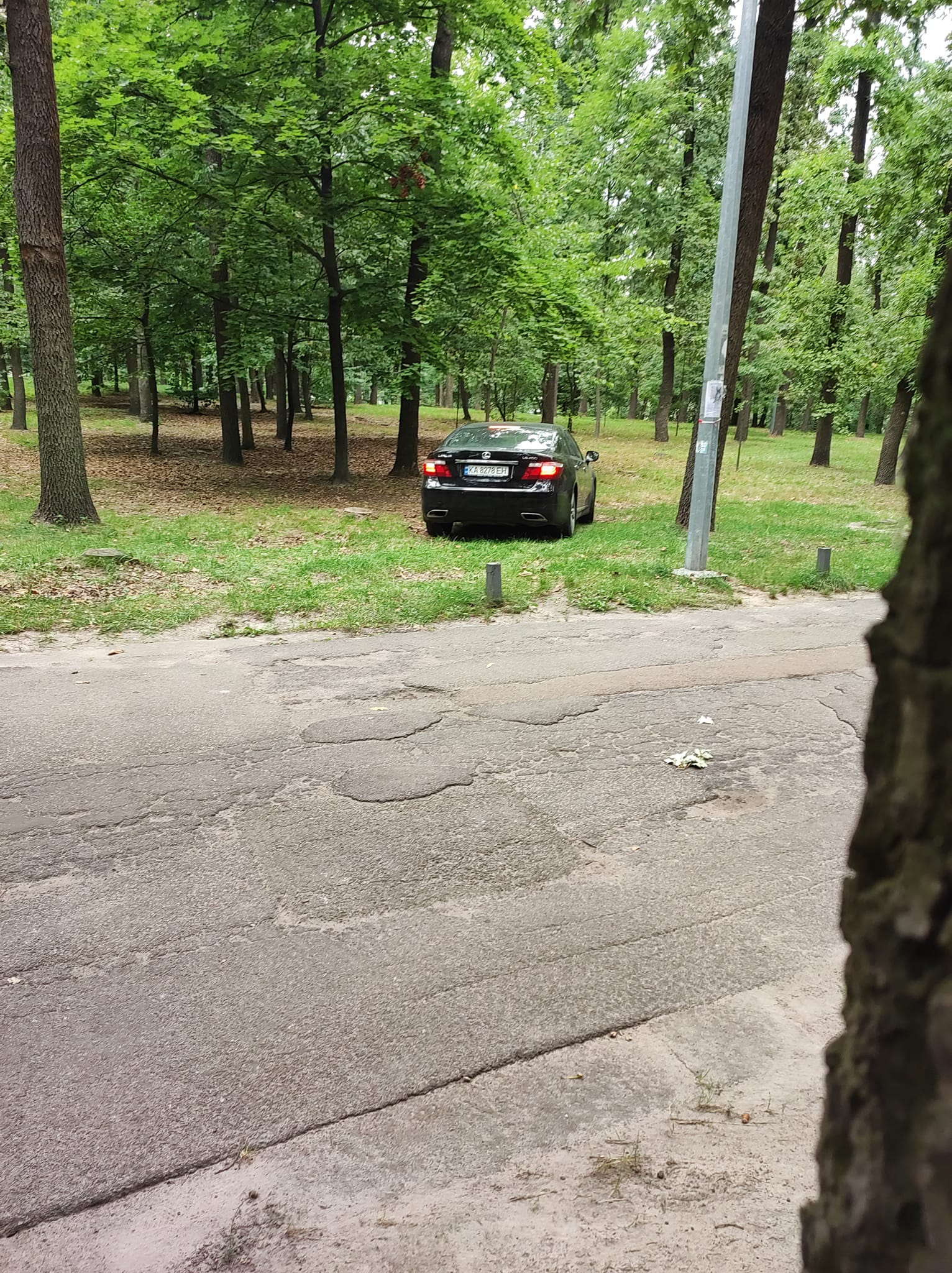 Чоловік припаркував авто на газоні