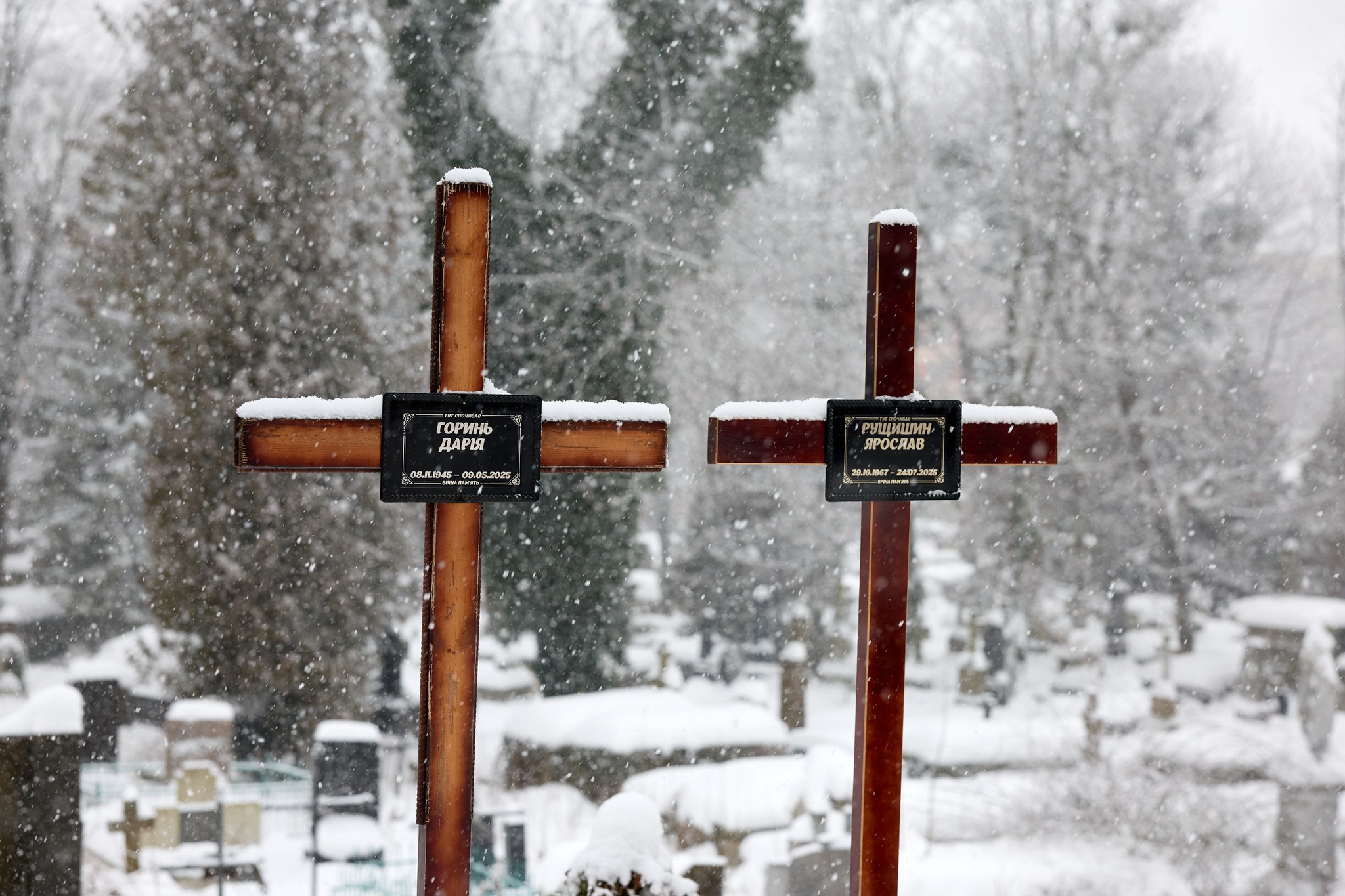 Стефанчук показав, який вигляд має могила Парубія  фото 3