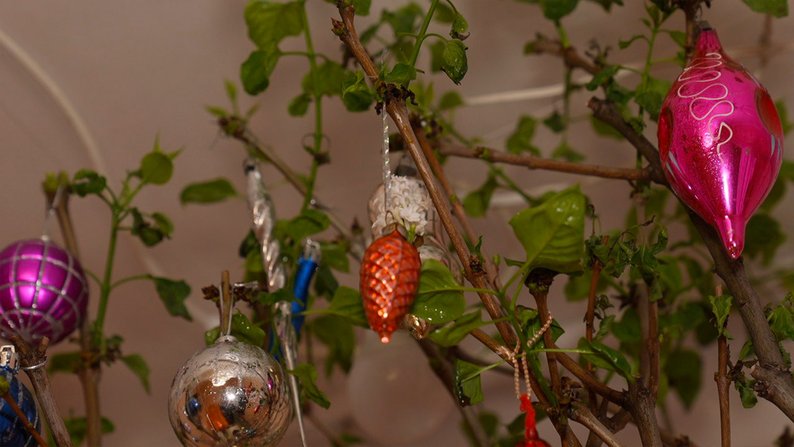 Прикрашений ялинковими іграшками та гірляндою бузок