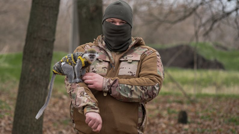 Мавпочку Олексій купив у розпліднику в Полтаві