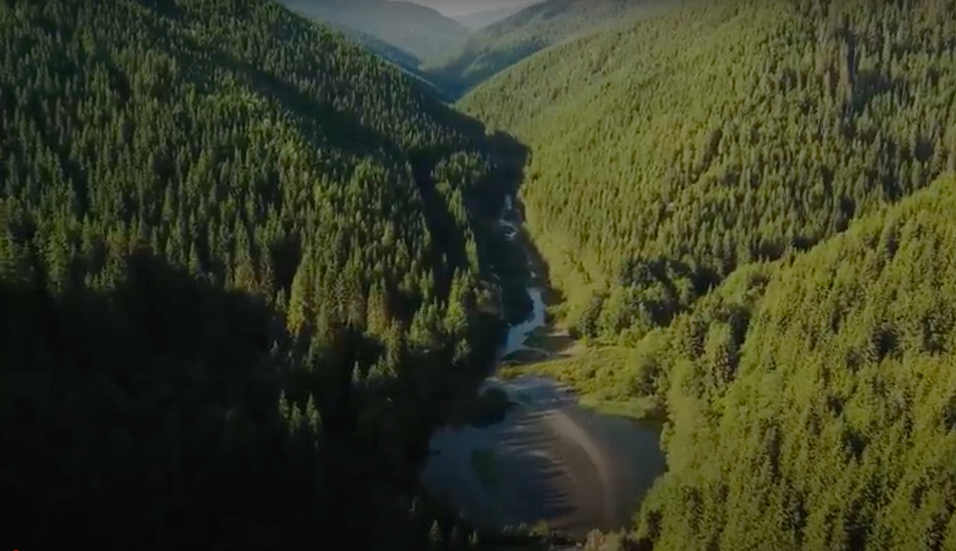 Загадкове місце на краю України. Чим унікальний хутір Перкалаба (фото) фото 3