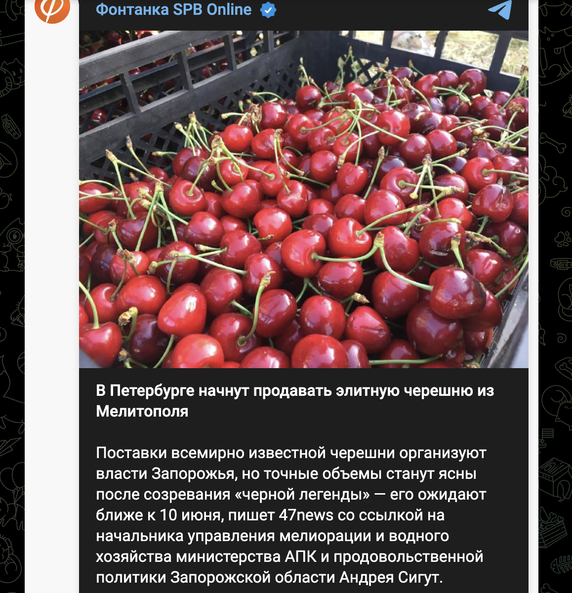Les occupants vendront des cerises volées à Melitopol en Russie photo 1