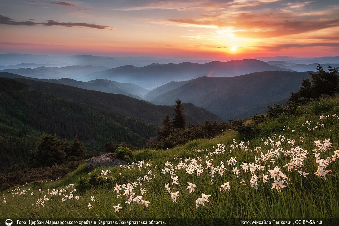 Міжнародний конкурс визначив 10 найкрасивіших фото природи зі всієї України фото 3