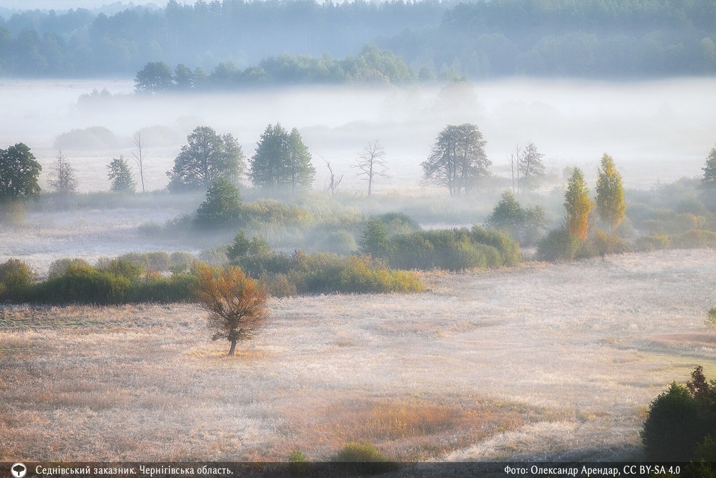 Міжнародний конкурс визначив 10 найкрасивіших фото природи зі всієї України фото 6