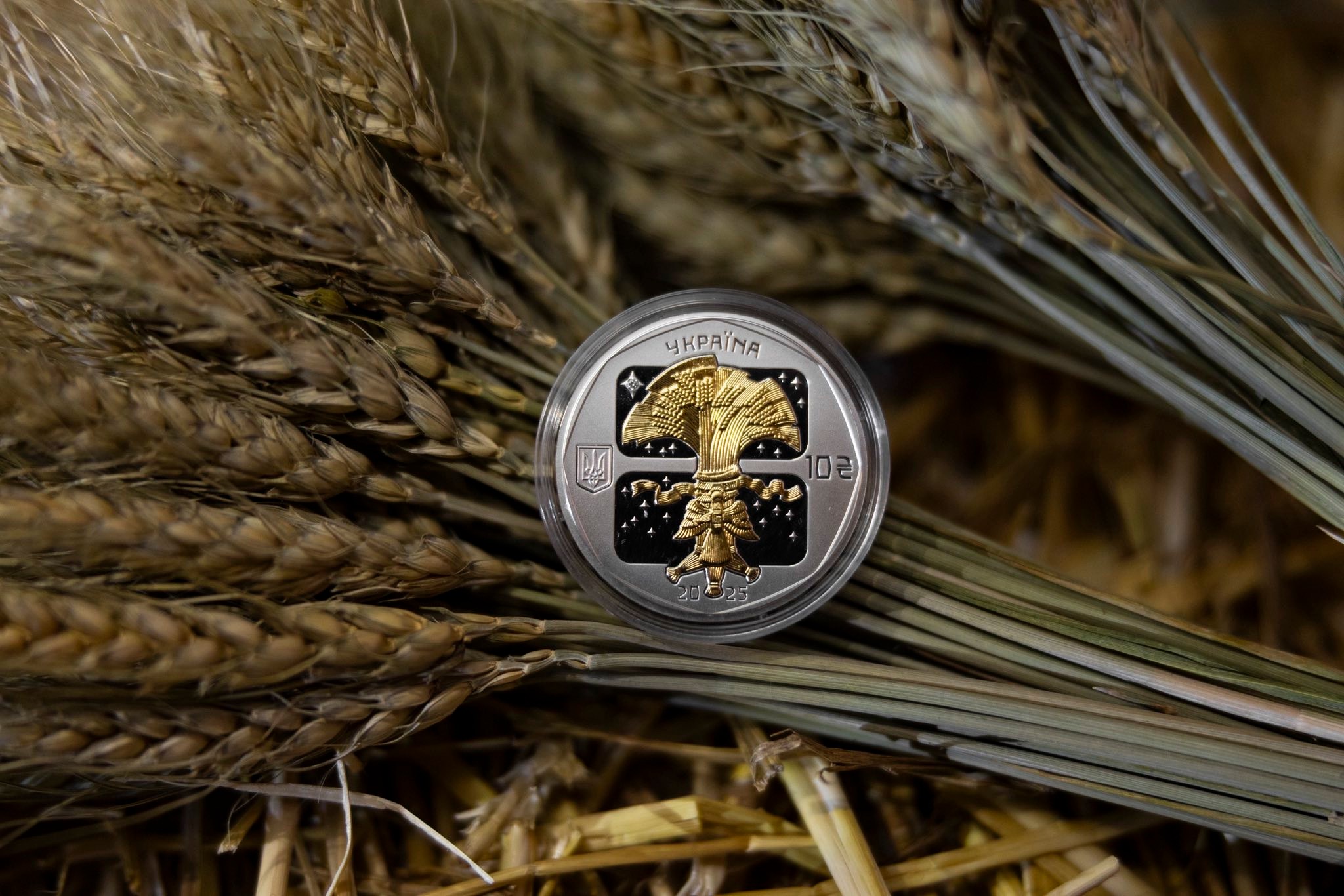 На аверсі в центрі композиції розміщено стилізоване зображення солом’яного дідуха