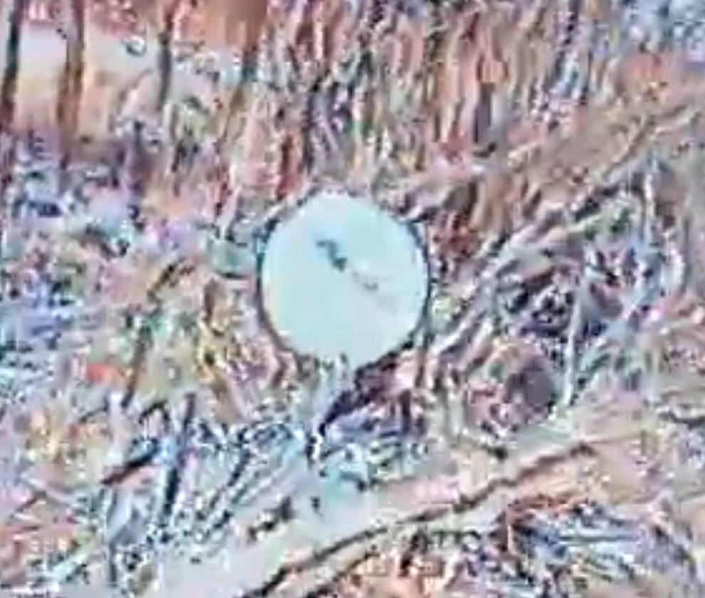 Росіяни отримали нові супутникові термінали після відключень Starlink фото 3