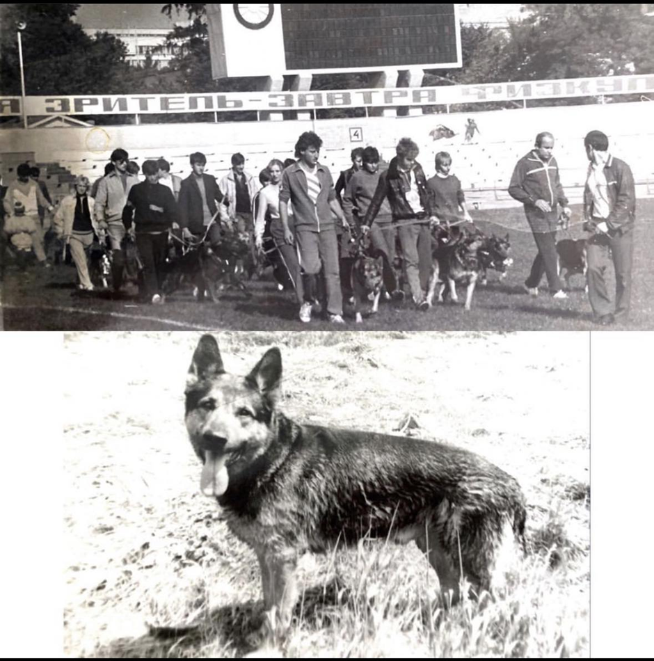 Пономарьов повідомив про поповнення в родині фото 2