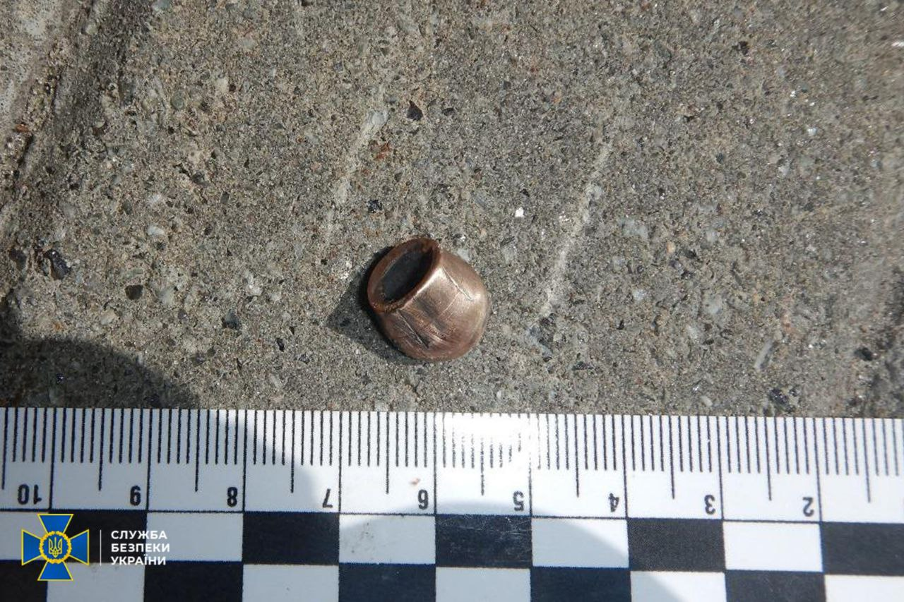 Замах на Стерненка: як затримана готувалася до скоєння злочину фото 2