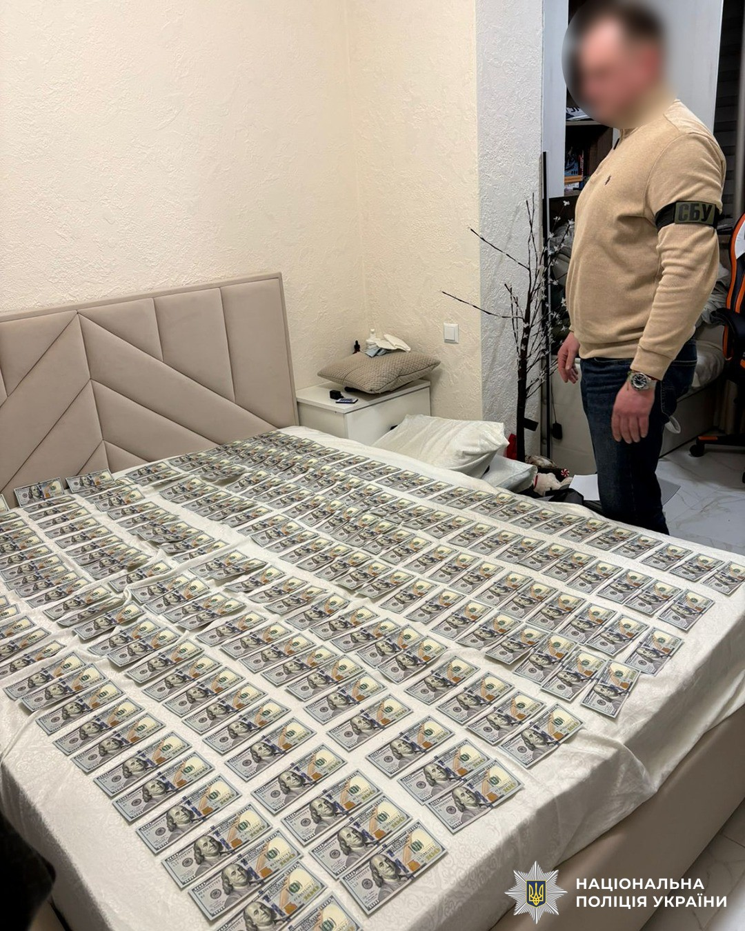 Квартира, завалена готівкою. Викрито матір і сина, які оформлювали фіктивну інвалідність фото 2