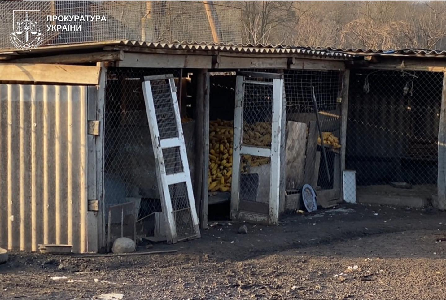 Вінниччина: директор інтернату отримав підозру в торгівлі людьми фото 2