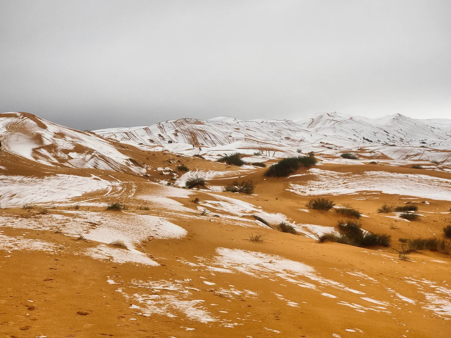 Сніг швидко розтанув після того, як випав