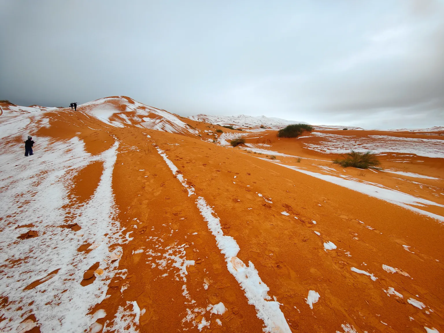 Регіон Айн-Сефра відомий як «Ворота в пустелі»