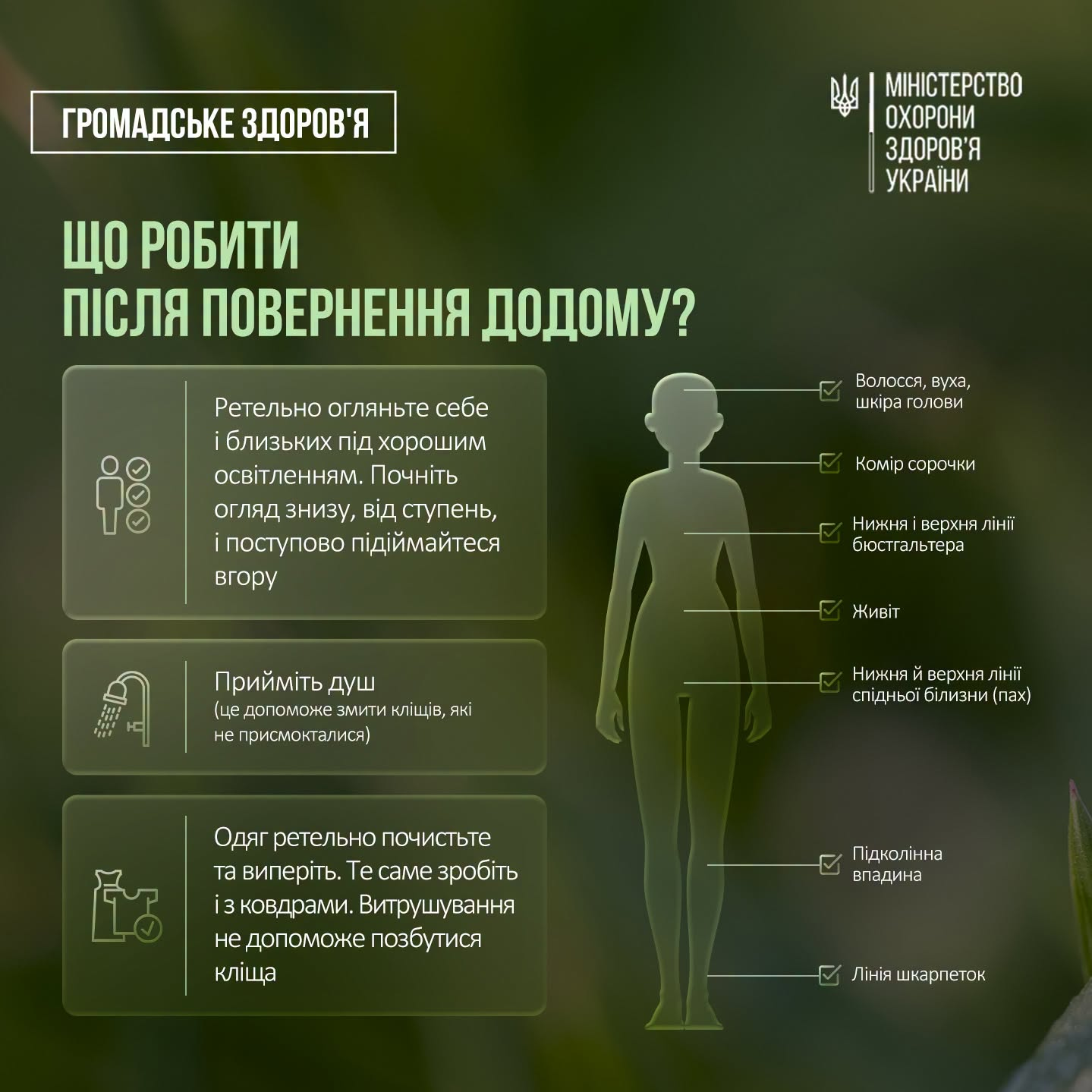 Сезон кліщів: які хвороби загрожують та як видалити паразита з тіла фото 4