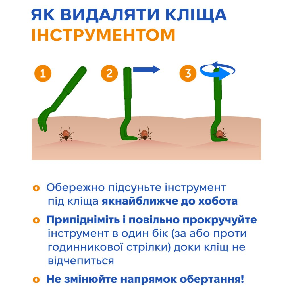 Сезон кліщів: які хвороби загрожують та як видалити паразита з тіла фото 1