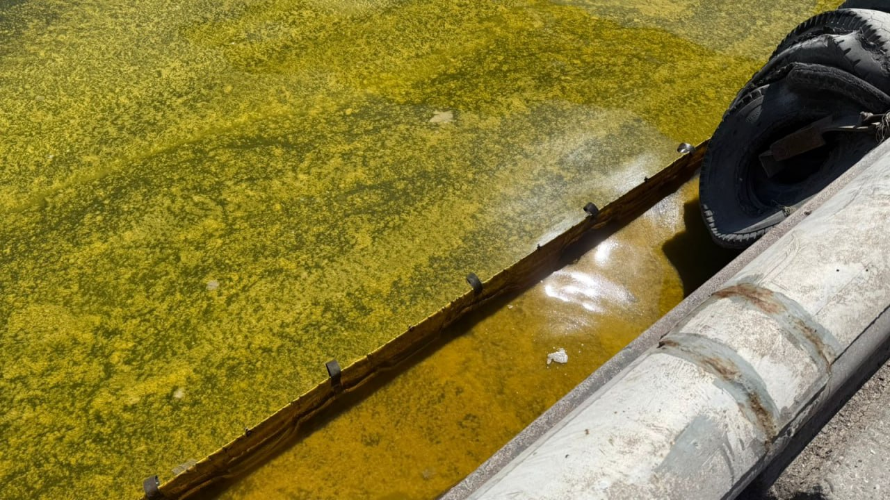 У Чорноморську через російську атаку в море вилилися тисячі тонн олії (фото) фото 2