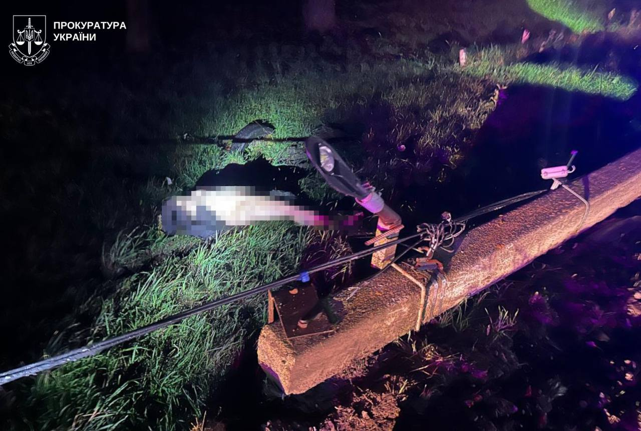 На Львівщині затримано водія, який спричинив ДТП із трьома загиблими підлітками фото 3