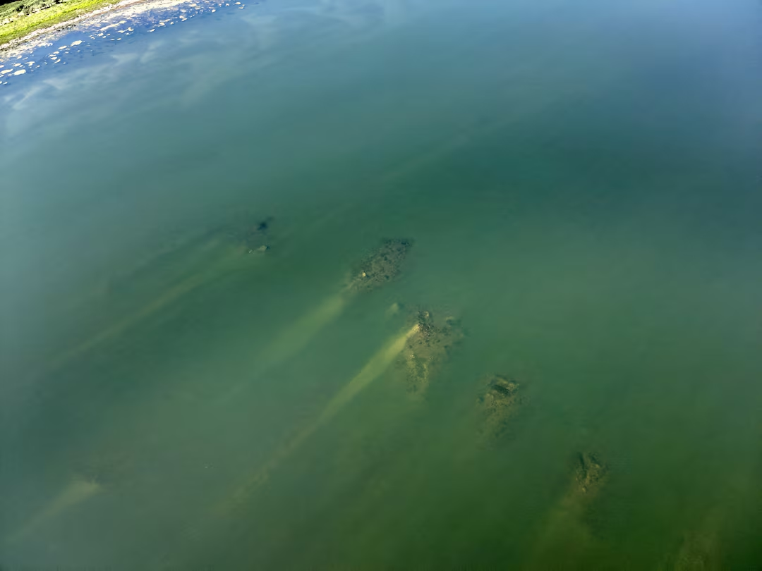 Болгарія: низький рівень води у Дунаї оголив залишки давньоримського мосту фото 2