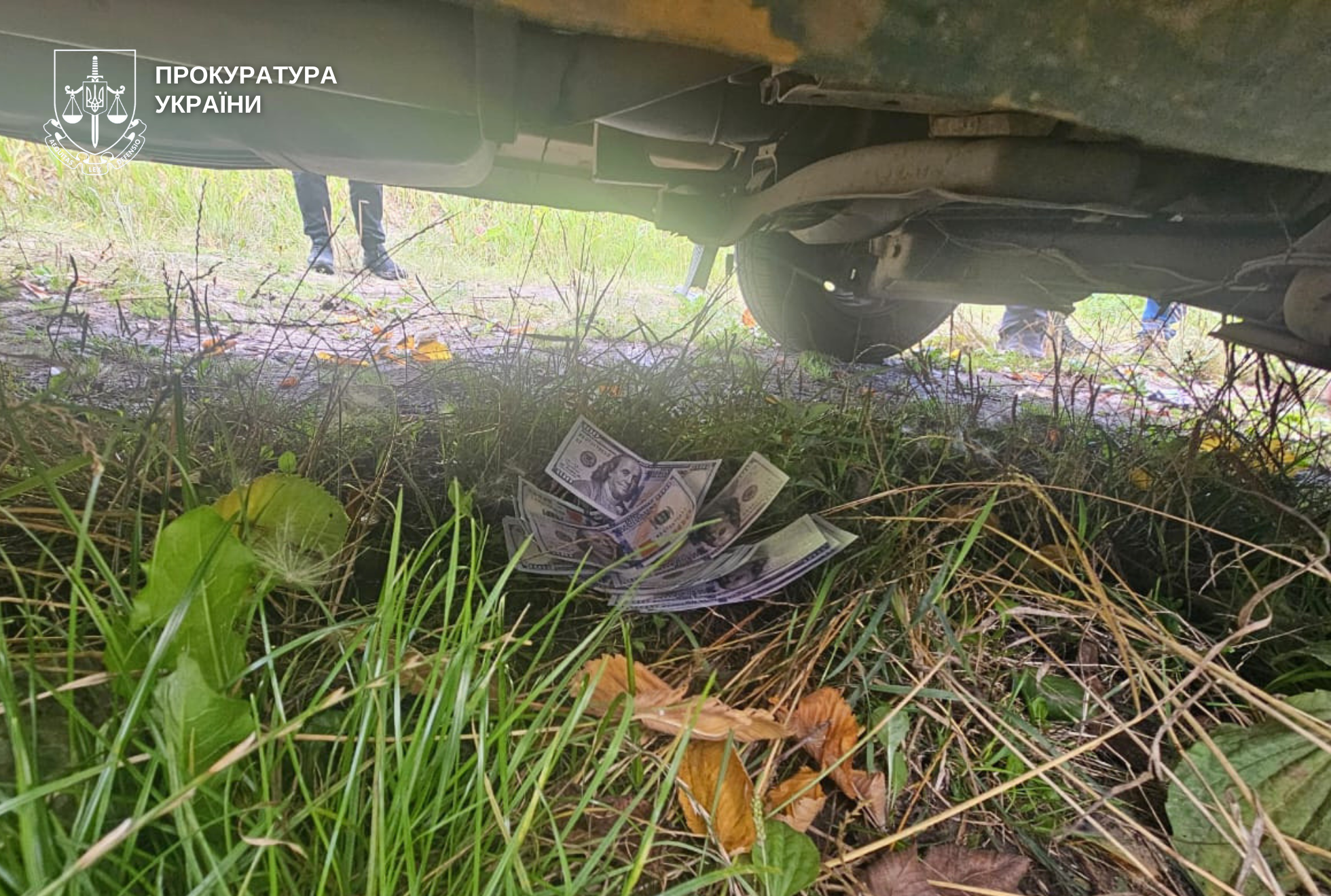 Серед ящиків з-під бананів. Викрито оригінальну схему переправлення чоловіка за кордон фото 3