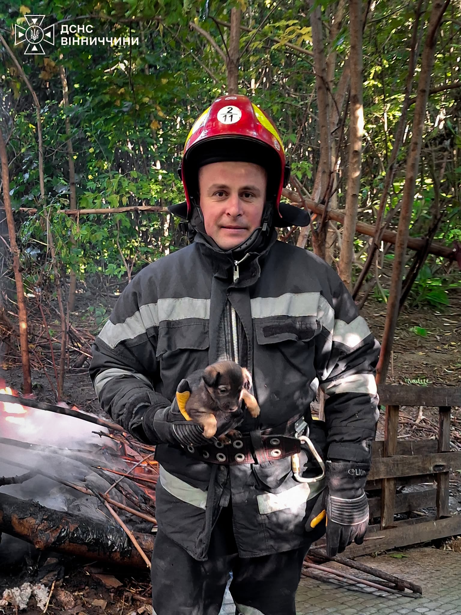 Надзвичайники врятували понад 30 собак під час пожежі у Вінниці фото 1