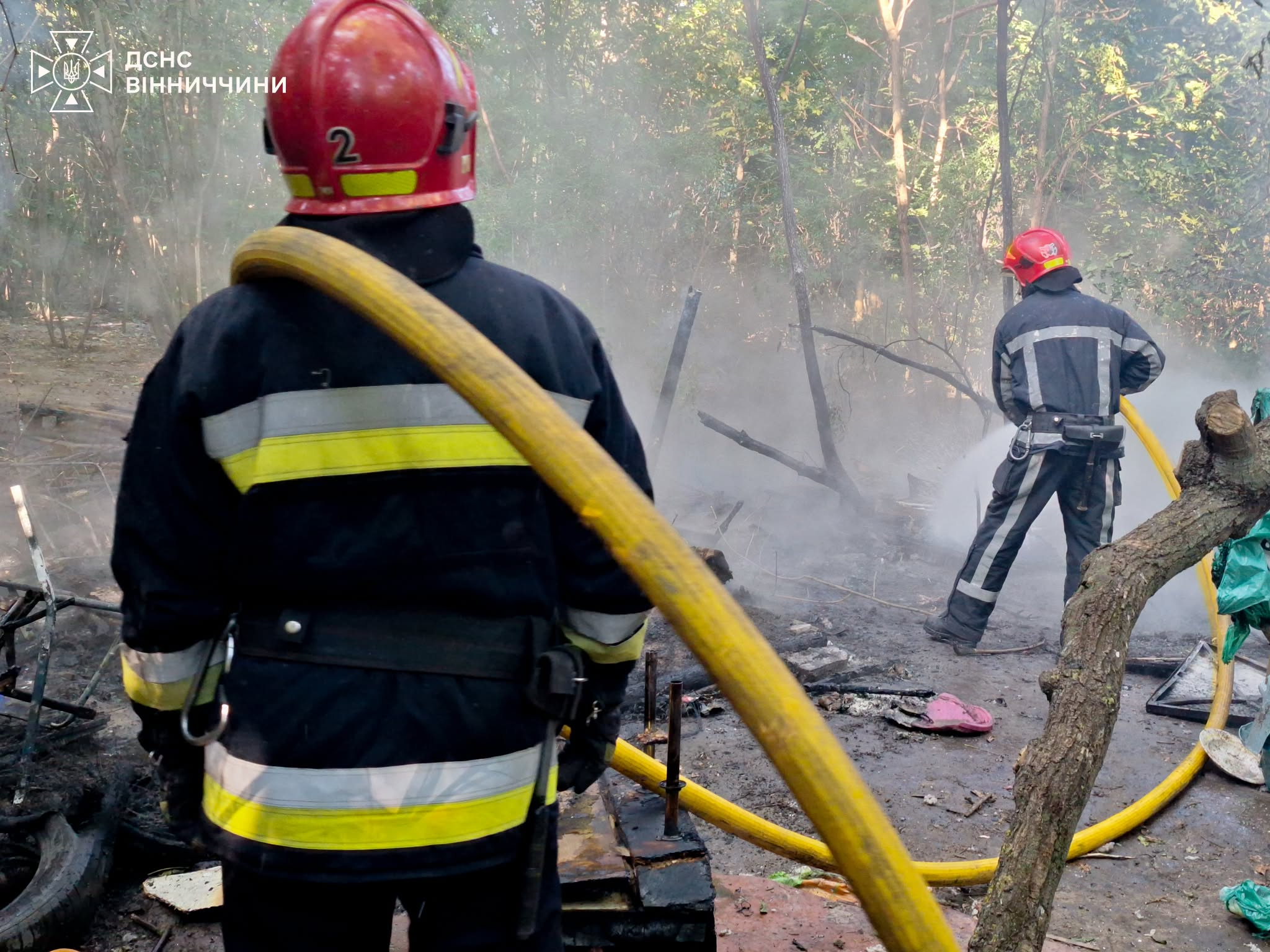 Надзвичайники врятували понад 30 собак під час пожежі у Вінниці фото 3