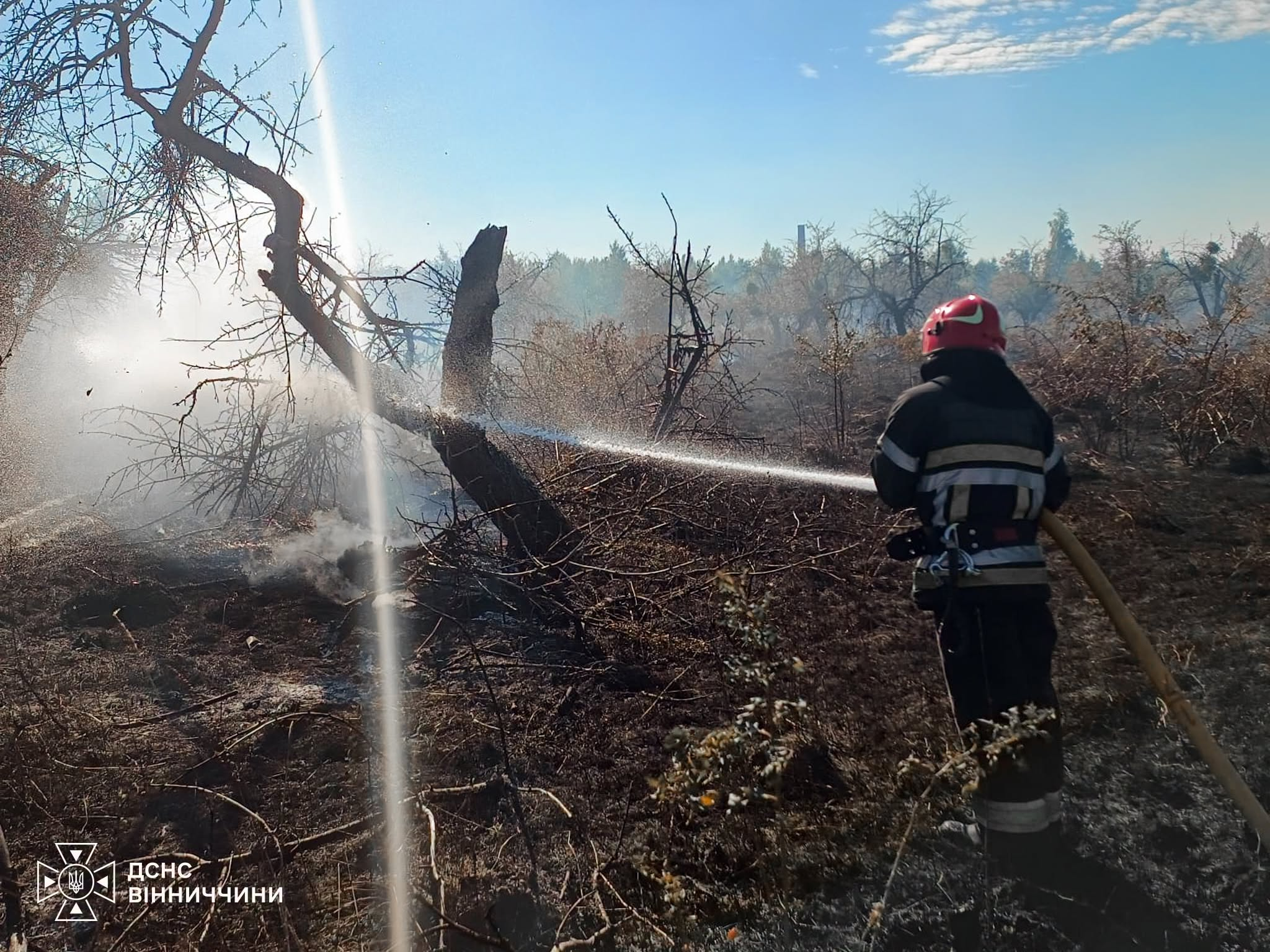 Надзвичайники врятували понад 30 собак під час пожежі у Вінниці фото 4