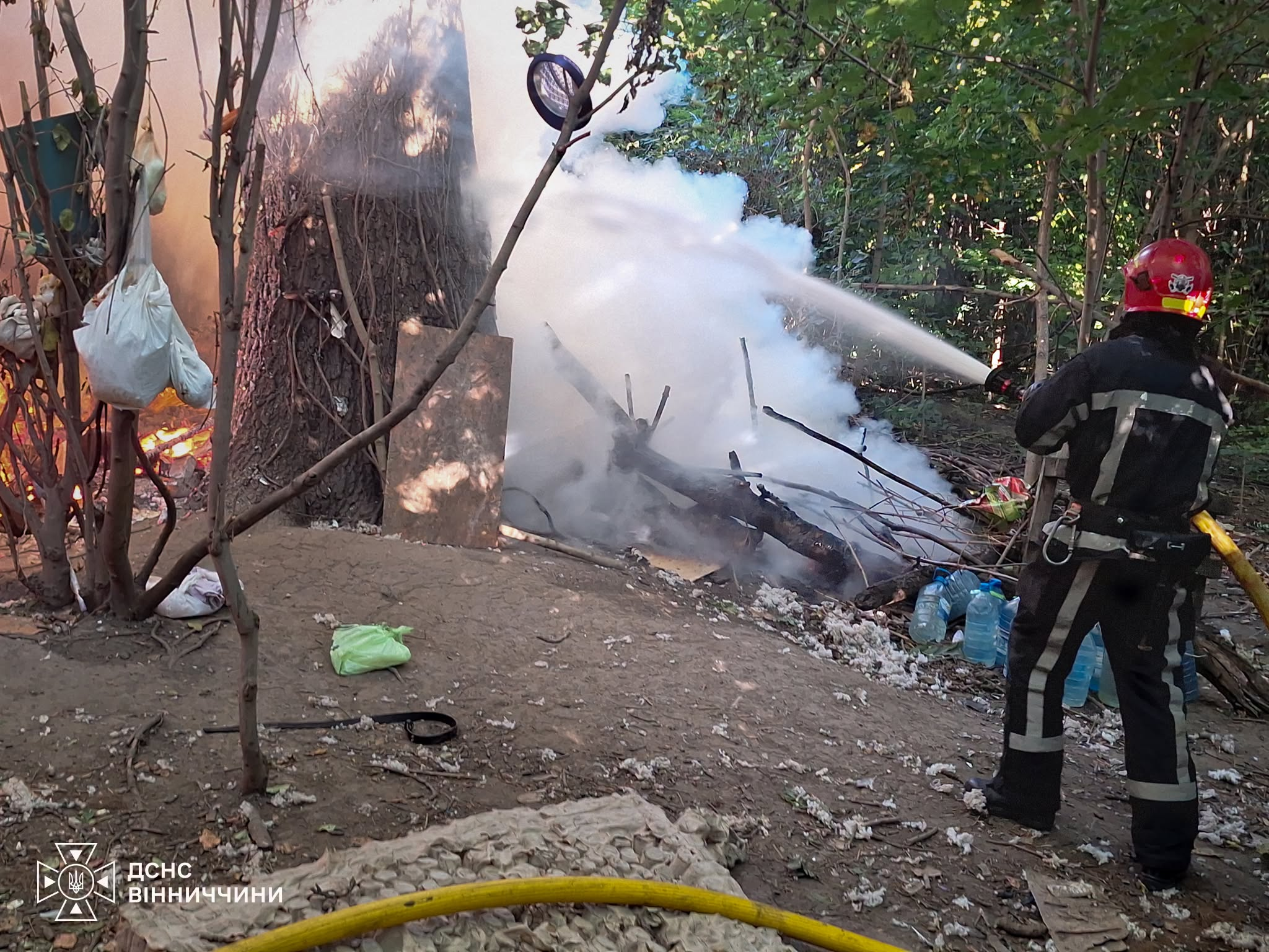 Надзвичайники врятували понад 30 собак під час пожежі у Вінниці фото 5