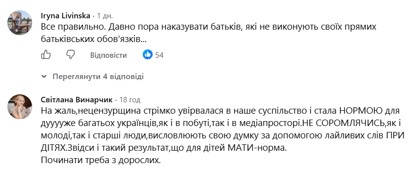 Лайка школяра на уроці обернулася судом для матері: реакція мережі фото 3