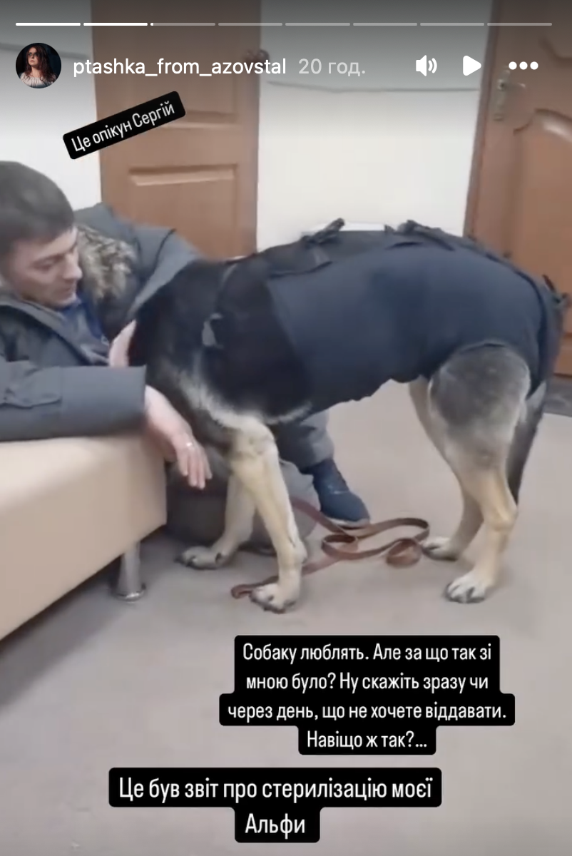 «Ми нічого не обіцяли». У черкаському притулку волонтери не віддали собаку захисниці Пташці фото 5