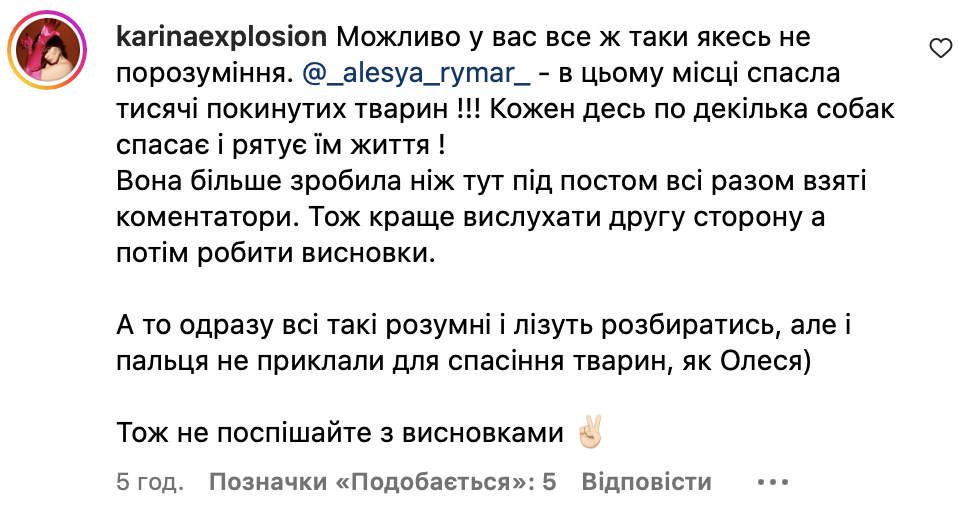 «Ми нічого не обіцяли». У черкаському притулку волонтери не віддали собаку захисниці Пташці фото 1